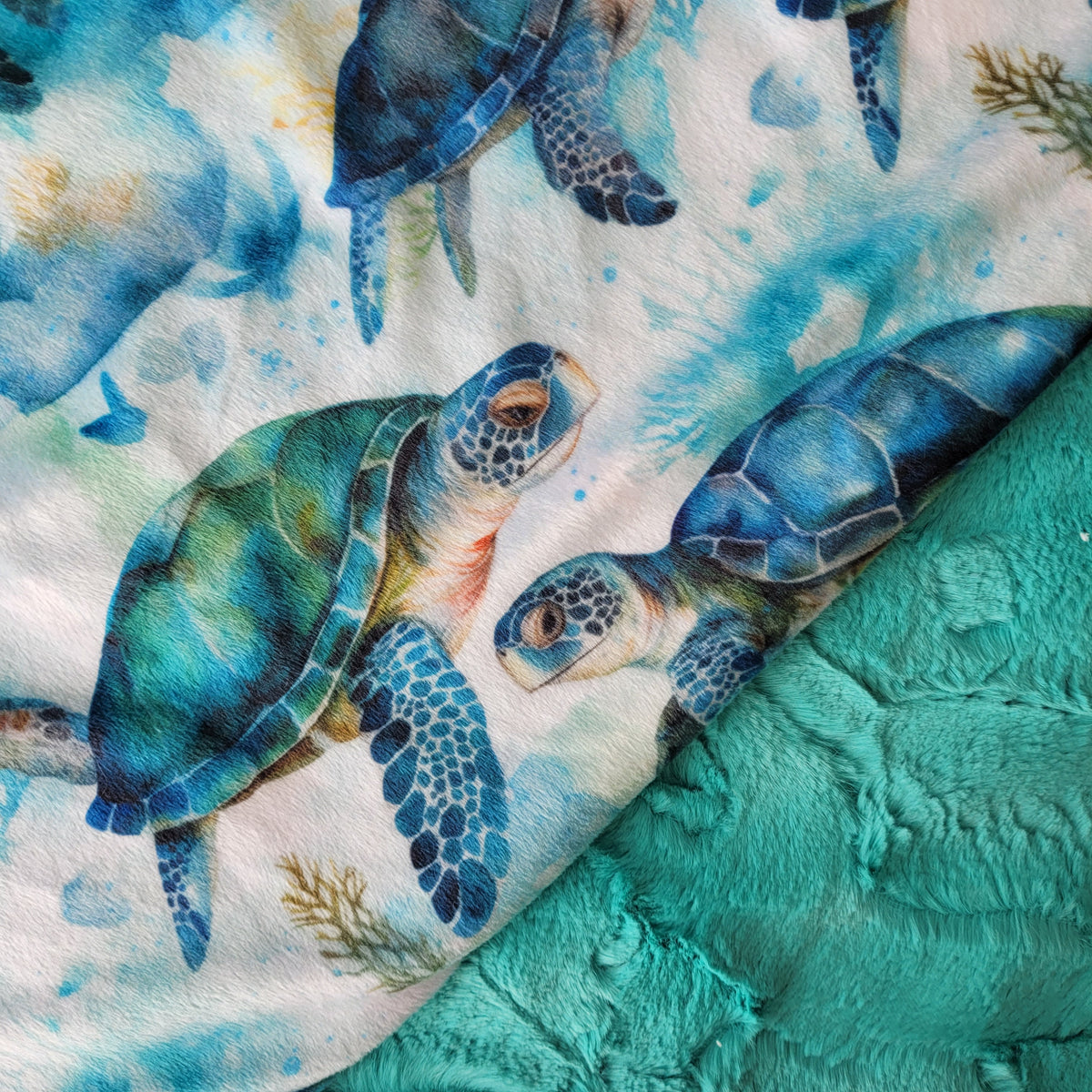 Doudou | Précommande | Tortuga