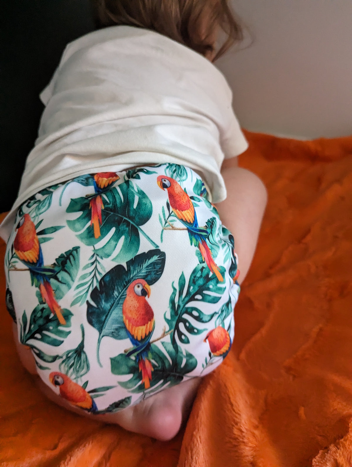 Pocket Cloth Diaper | One size | Coco want's a cookie (full print)