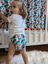 Pocket Cloth Diaper | One size | Coco want's a cookie (full print)